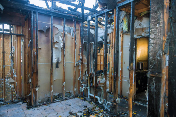 Professional Fire Damage Removal technician working in Norco, CA